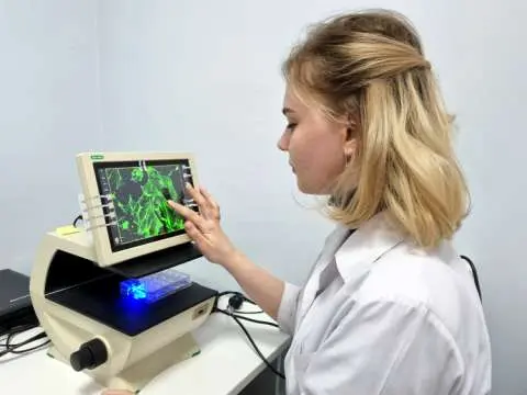 Лаборатория Экспериментальной Нейрофизиологии